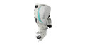 2020 Evinrude E TEC G2 Engines 250 HP H250WXC