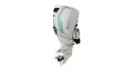 2020 Evinrude E TEC G2 Engines 250 H.O. H250HWXA